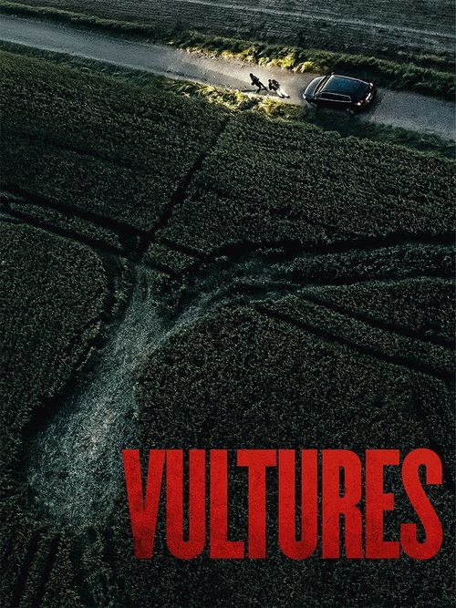 Póster de Vultures