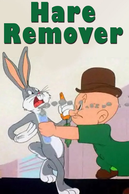 Póster de Hare Remover