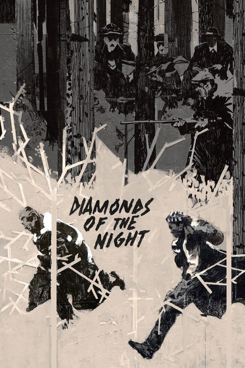 Póster de Diamonds of the Night