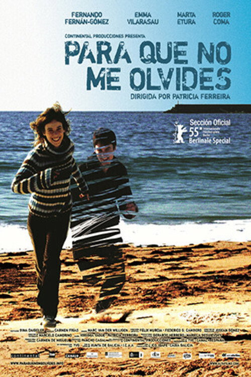 Poster von Something to Remember Me By