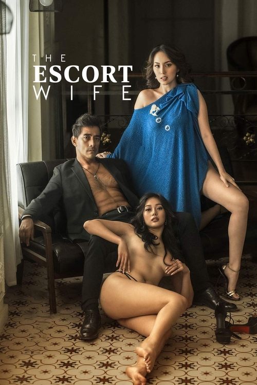 Póster de The Escort Wife