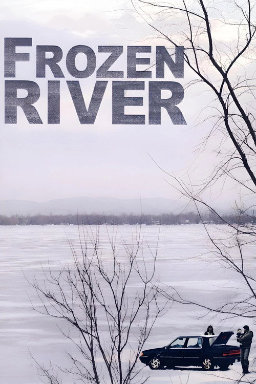 Póster de Frozen River