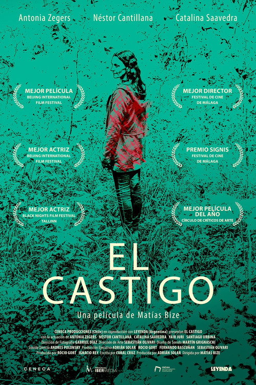 Pôster de O Castigo
