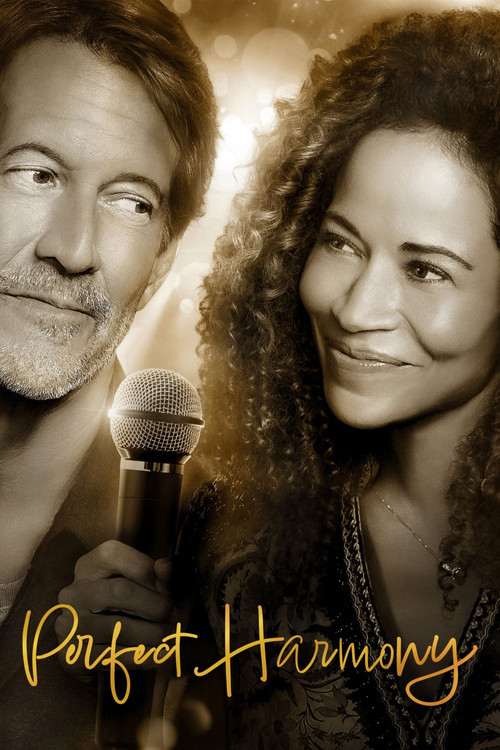 Póster de Perfect Harmony