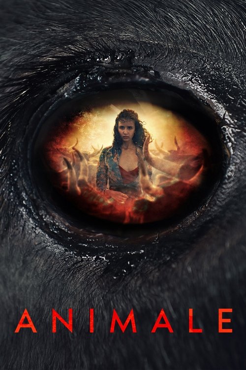 Póster de Animale