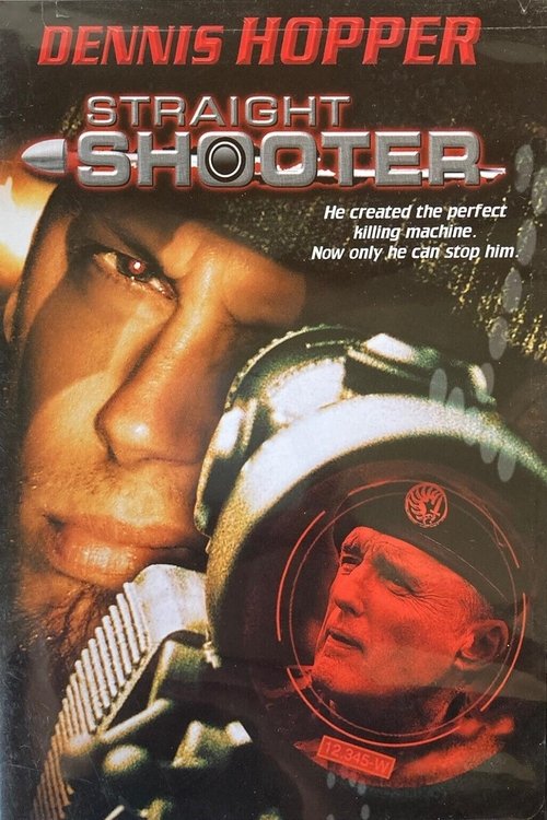 Póster de El francotirador