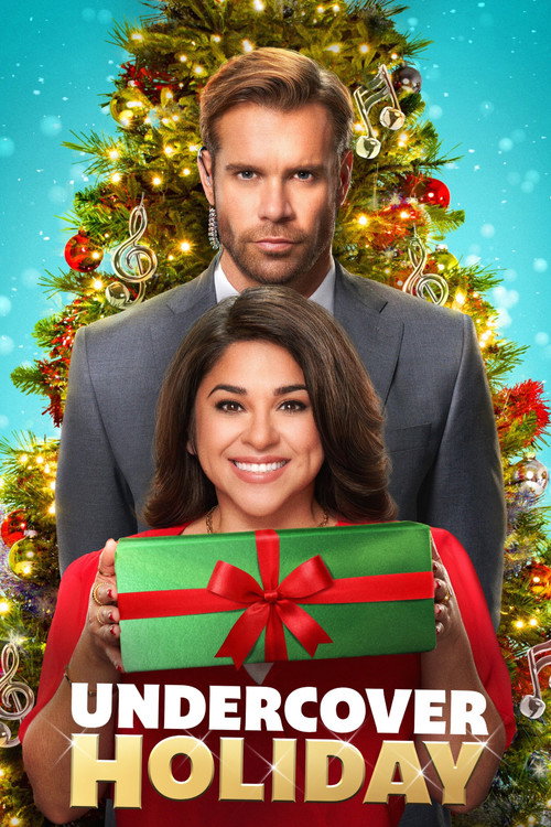 Póster de Undercover Holiday