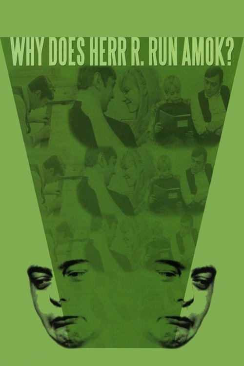 Póster de Why Does Herr R. Run Amok?