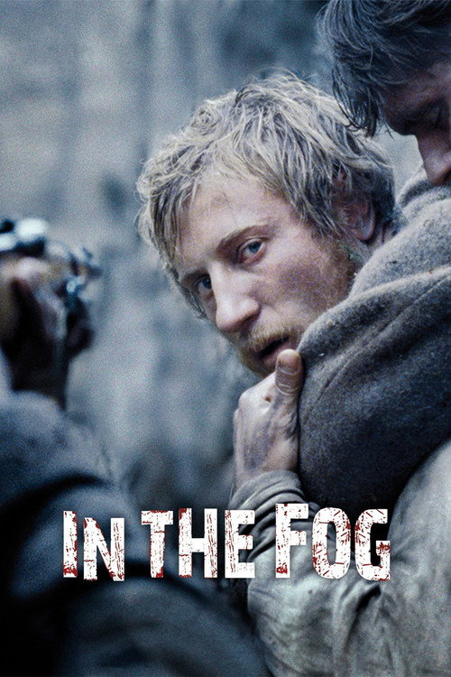 Póster de In the Fog