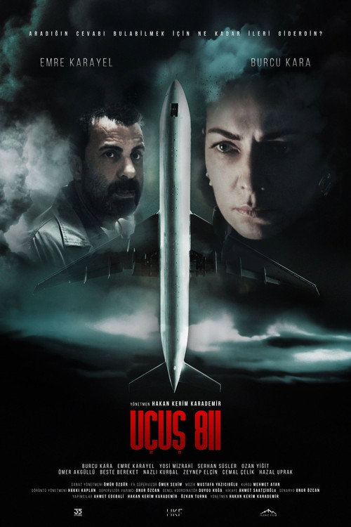 Póster de Flight 811