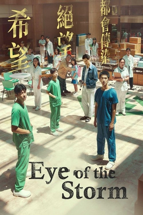 Póster de Eye of the Storm
