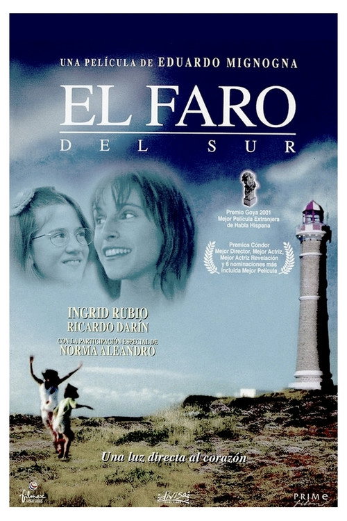 Póster de El faro del sur
