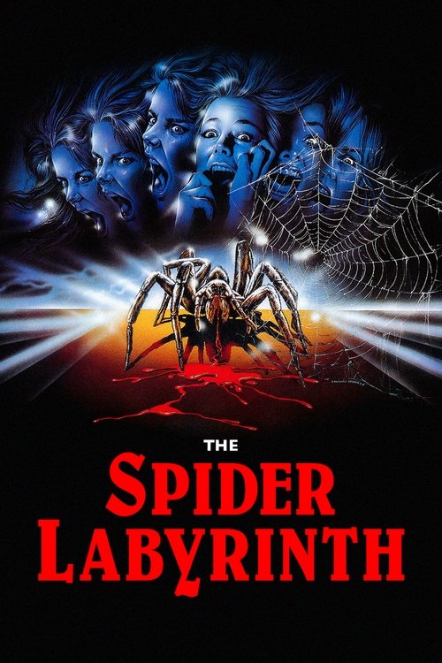 Póster de The Spider Labyrinth