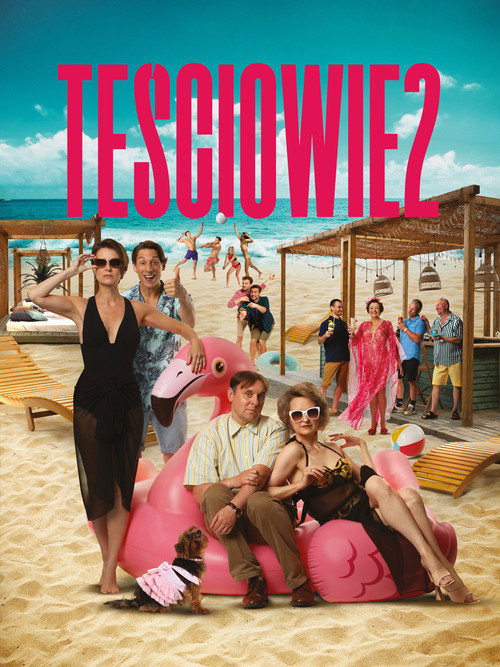 Póster de The In-Laws 2