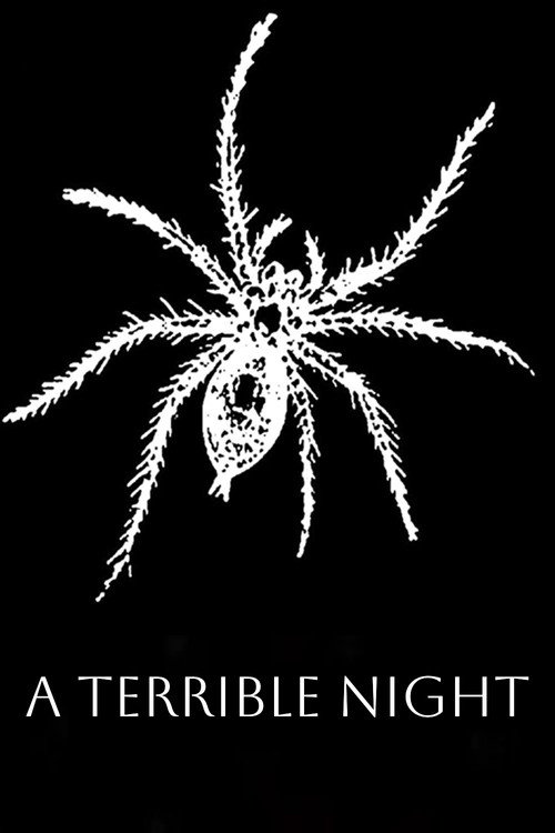 Póster de A Terrible Night