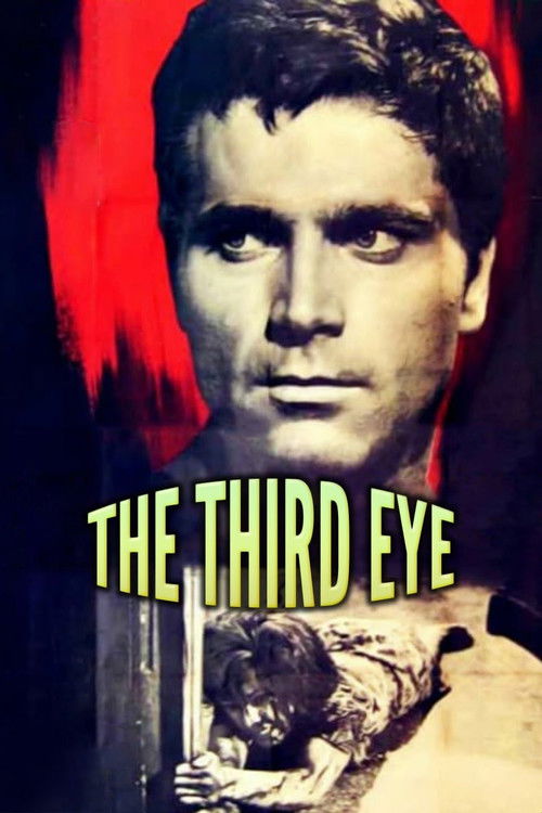 Póster de The Third Eye