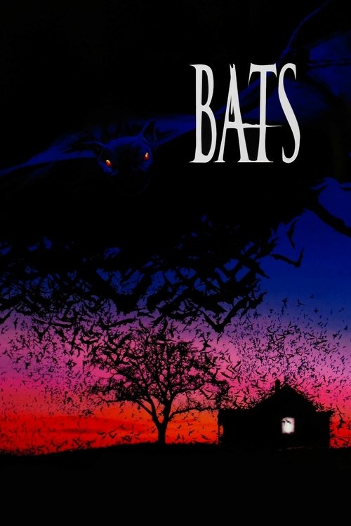 Póster de Bats