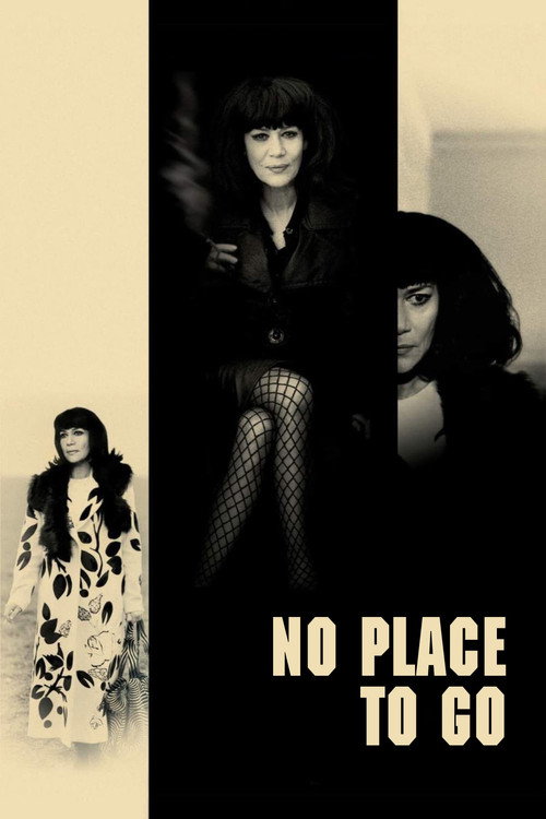 Póster de No Place to Go