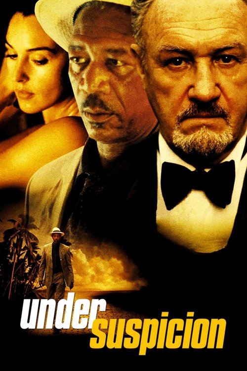 Póster de Under Suspicion