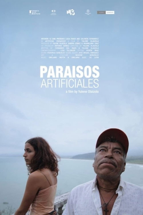 Póster de Paraísos artificiales