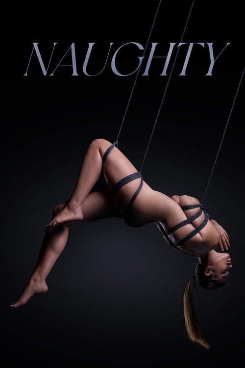 Póster de Naughty