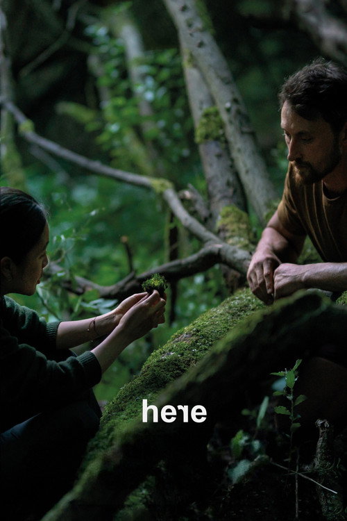 Póster de Here