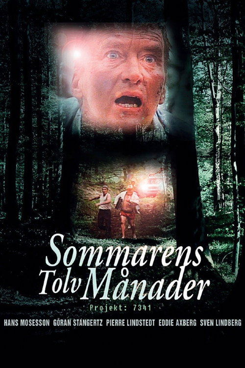 Póster de The Twelve Months of the Summer