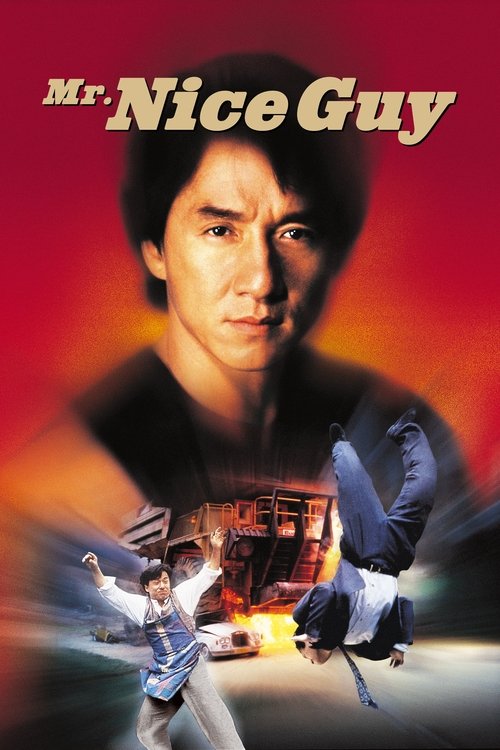 Póster de Mr. Nice Guy