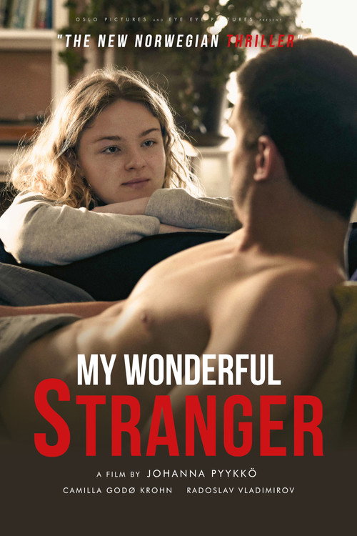 Locandina di My Wonderful Stranger