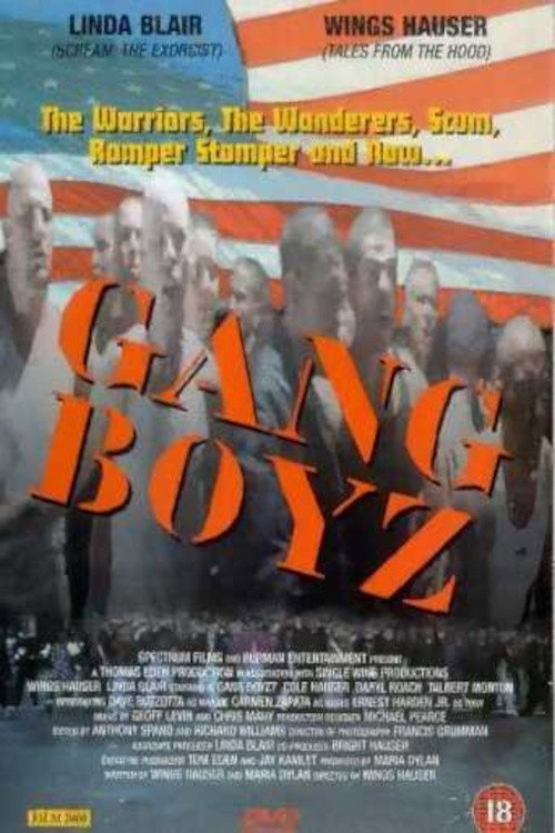 Póster de Gang Boys