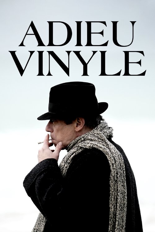 Póster de Goodbye Vinyle