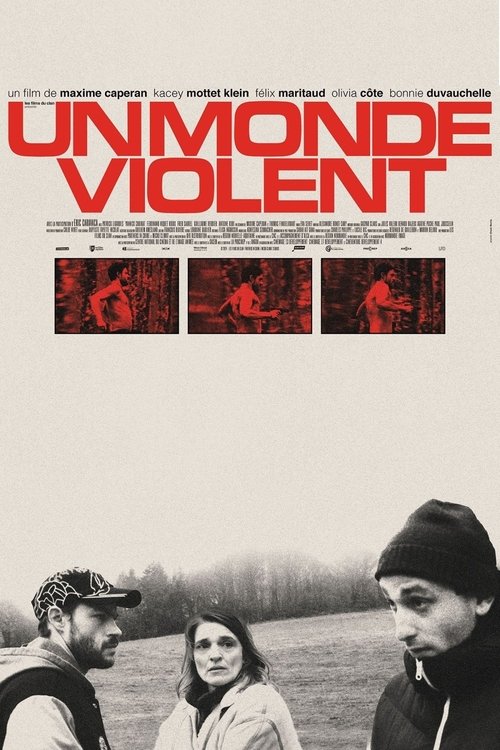 Póster de A Violent World