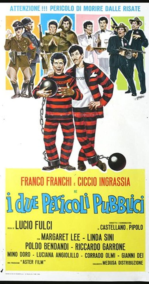Póster de Two Public Enemies
