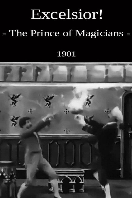Póster de The Prince of Magicians