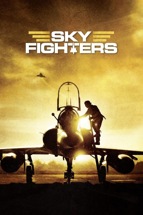 Póster de Sky Fighters