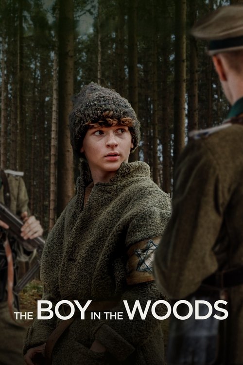 Póster de The Boy in the Woods