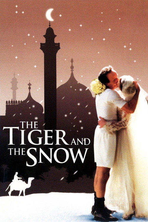 Póster de The Tiger and the Snow
