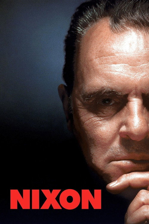 Póster de Nixon