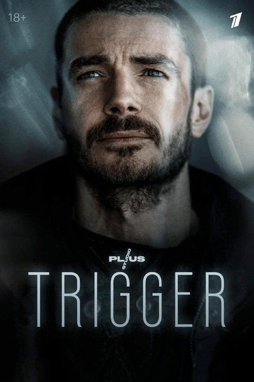 Póster de Trigger