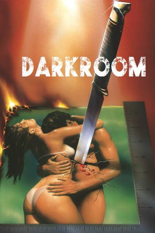 Póster de Darkroom