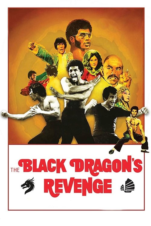 Póster de Black Dragon's Revenge