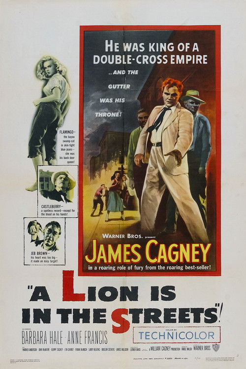 Poster of A Lion Is in the Streets