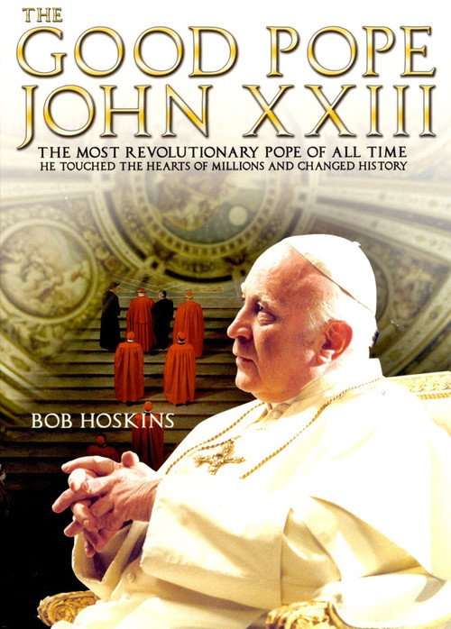 Póster de Il Papa buono