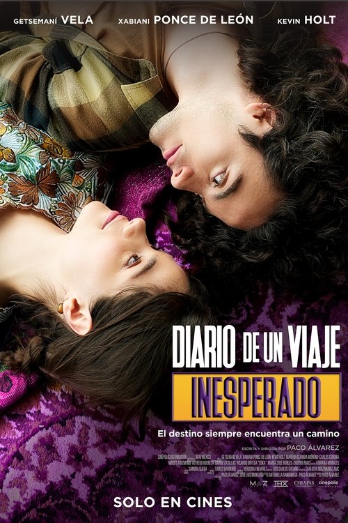 Póster de Diario de un viaje inesperado