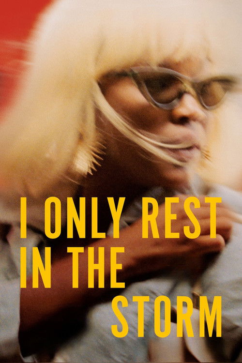 Póster de I Only Rest in the Storm