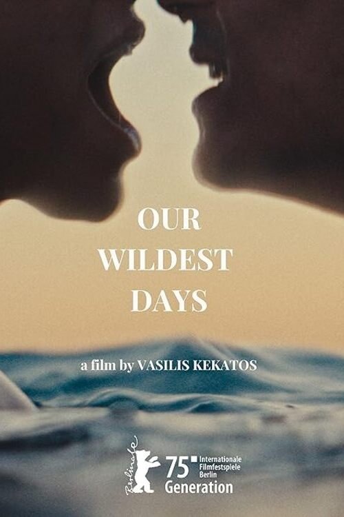 Póster de Our Wildest Days