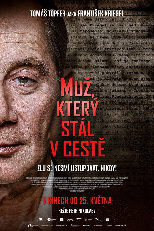 Póster de The Man Who Stood In the Way