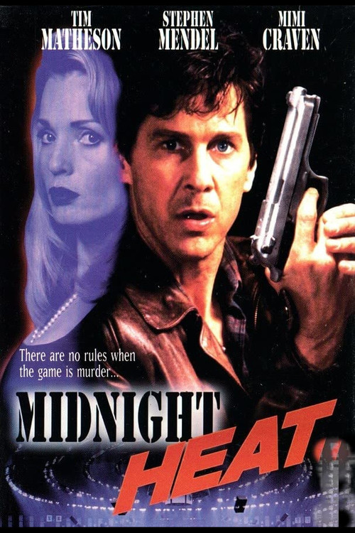 Póster de Midnight Heat