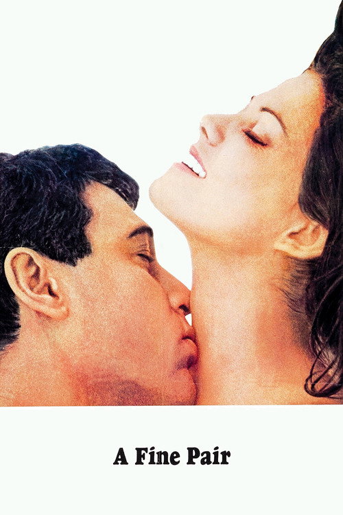 Póster de A Fine Pair