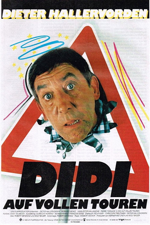 Póster de Didi Drives Me Crazy